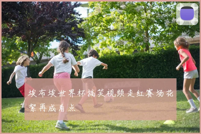 埃布埃世界杯搞笑视频走红赛场花絮再成看点